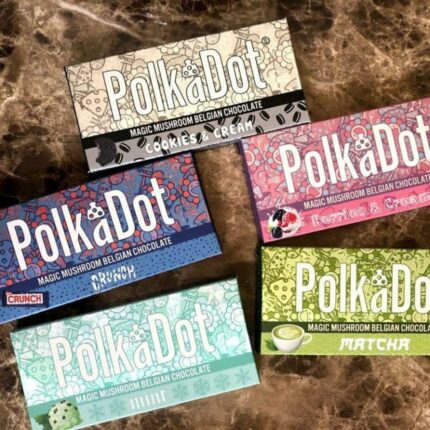 Polkadot mushroom chocolate bars