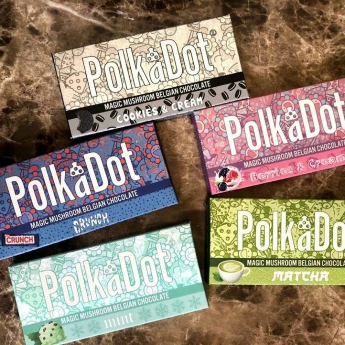 Polkadot mushroom chocolate bars