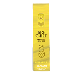 Big Chief disposable 1g