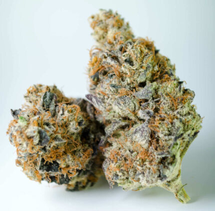 Banana Punch Strain