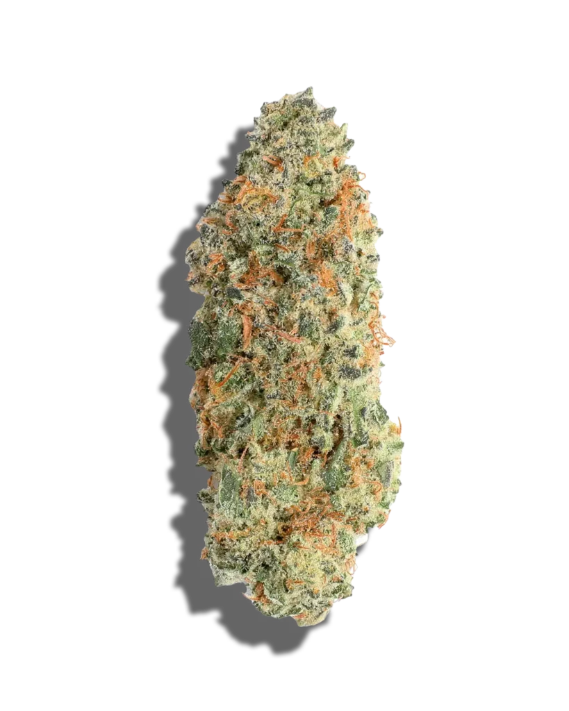Banana Punch Strain
