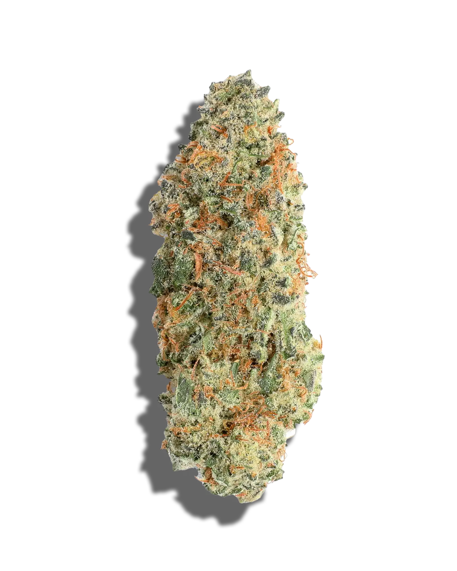 Banana Punch Strain