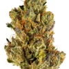 Fire OG Strain