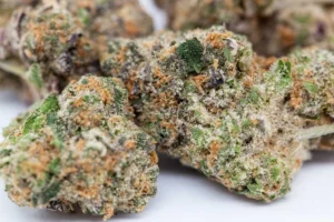 girl scout cookie weed