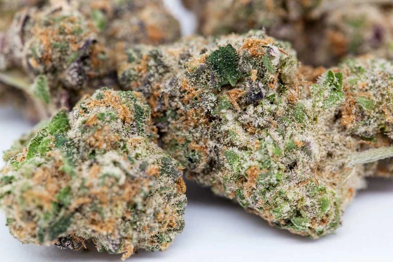 girl scout cookie weed