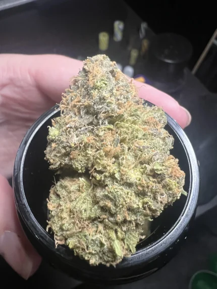 zkittles strain 